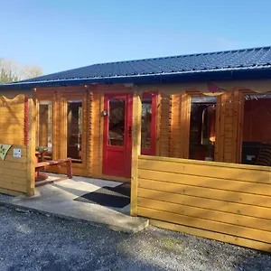 Red Robin Nest Galway