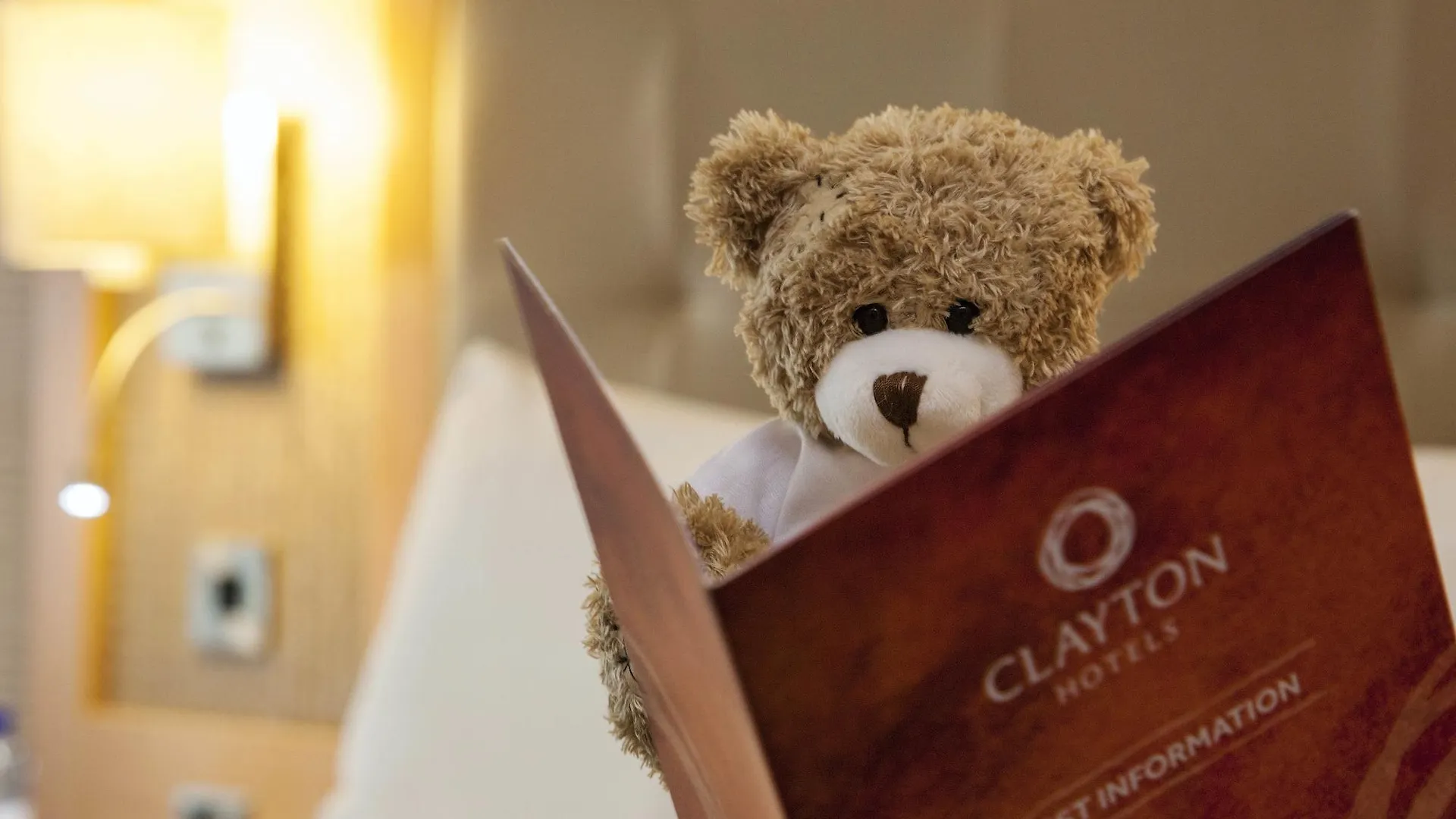 ****  Clayton Hotel Cardiff Lane Dublin Ireland